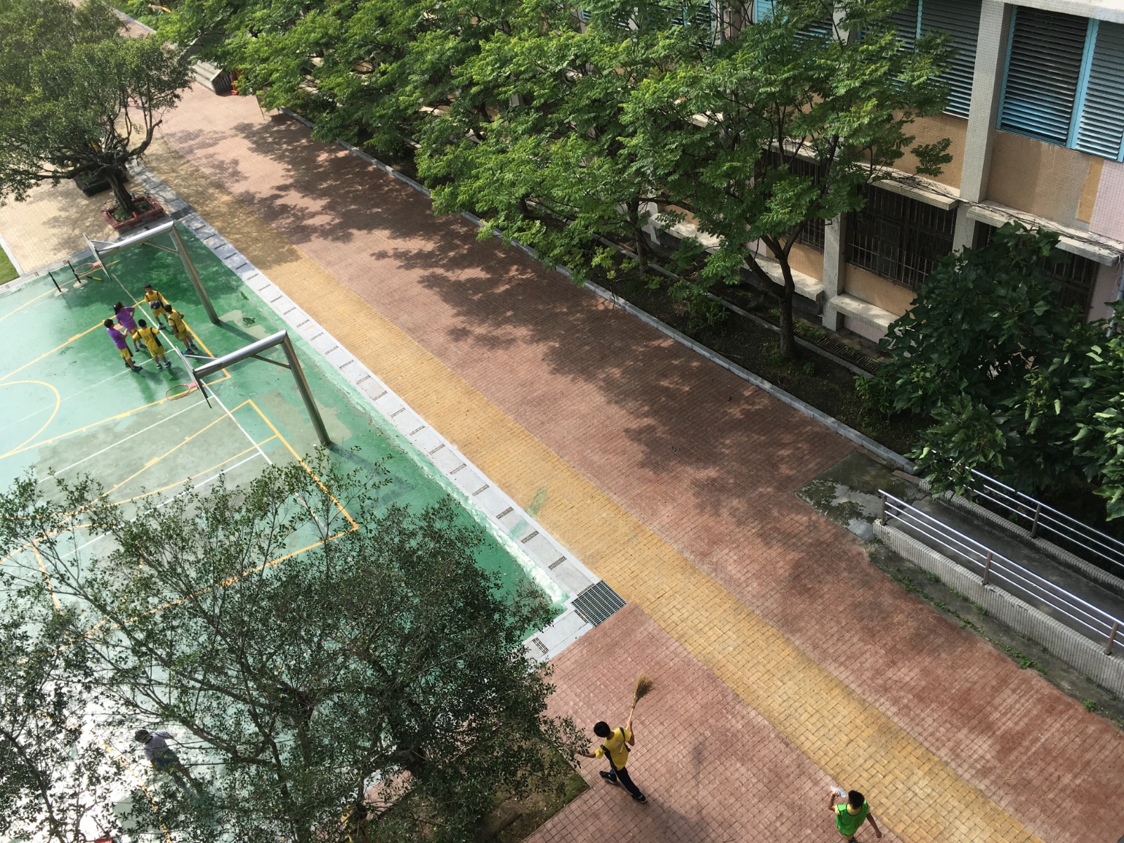 自強國小透水鋪面