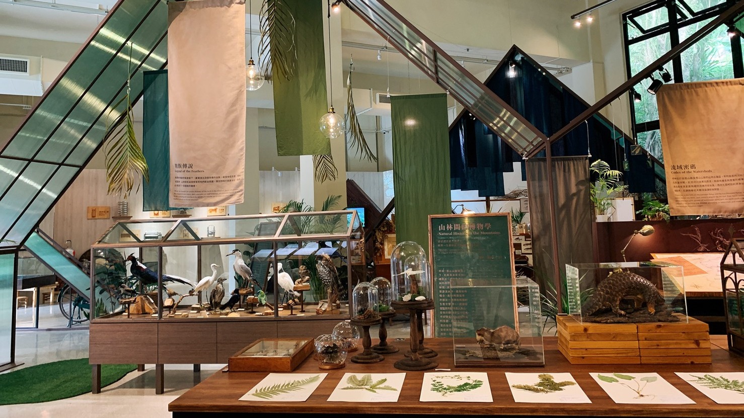 茶山學特展展場照片
